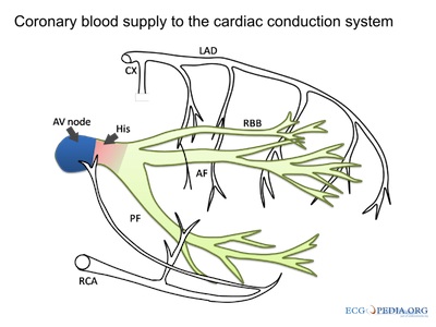 conduction