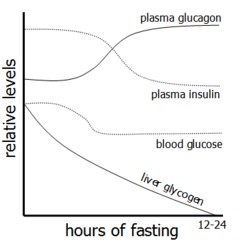 blood glucose control