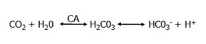 CO2